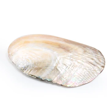 13-18cm Natūralių Gėlavandenių Perlų Austrė Lukštais perlamutru Jūrmylių Namų Dekoro Paplūdimio Clam Lukštais, 