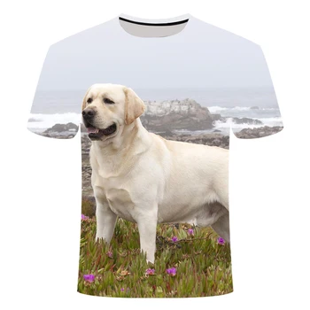 2020 NAUJAS 3D Atspausdintas šunelis T-shirts Labradoro Retriveris Didelis T-shirt Modelis Gali Būti Pritaikytas Vaikų ir Suaugusiųjų Dydis 4-20 metų