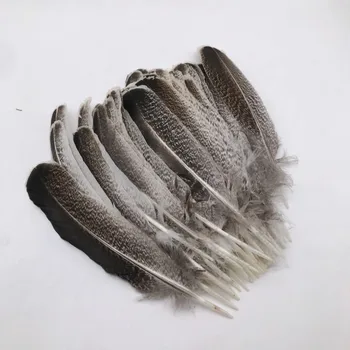 50pcs/daug natūralių plunksnų 3 dydis 25-35cm žąsų, kalakutų plunksnų plunksnelių erelio plunksna