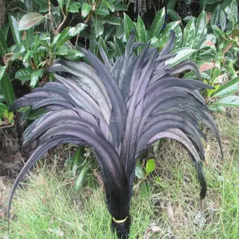 Didmeninė 50 vnt gražus juodas gaidys uodegos plunksnos 14-16 cm / 35-40 cm Šokių Šventė apdaila
