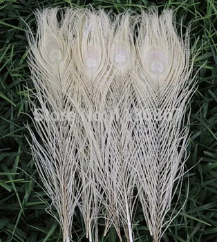 Nemokamas pristatymas baltos dažytos povo plunksna 100vnt/lot ilgis 25 - 30 cm, 10-12 colių povo plunksnų vestuvių papuošalai didmeninė